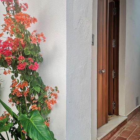 Апартаменти Erizo 3 Loft Diafano En El Centro Historico Таріфа Екстер'єр фото